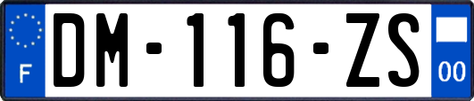 DM-116-ZS