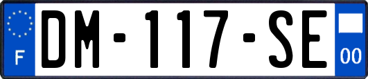 DM-117-SE