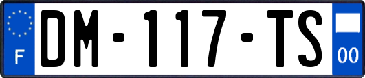 DM-117-TS