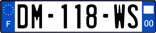 DM-118-WS