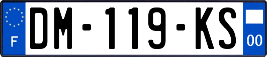DM-119-KS