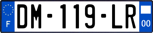DM-119-LR