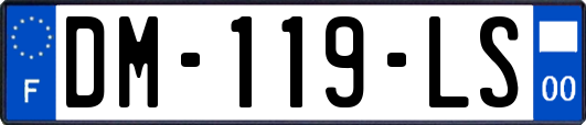 DM-119-LS