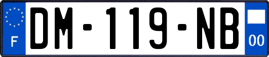 DM-119-NB