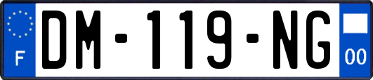 DM-119-NG