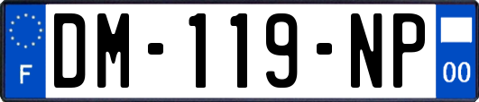 DM-119-NP