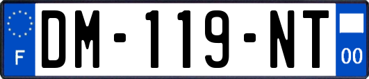 DM-119-NT