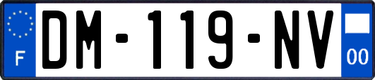 DM-119-NV