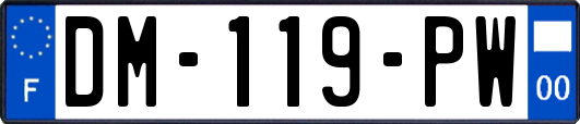 DM-119-PW