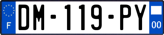 DM-119-PY