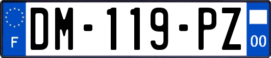 DM-119-PZ