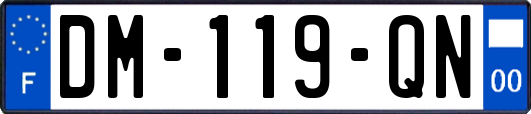 DM-119-QN