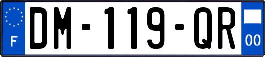 DM-119-QR