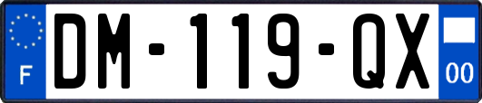 DM-119-QX