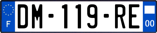 DM-119-RE