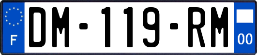 DM-119-RM