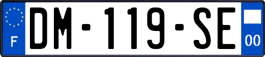 DM-119-SE