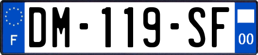 DM-119-SF