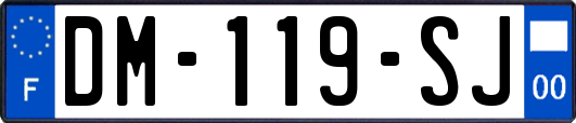 DM-119-SJ