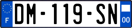 DM-119-SN