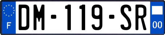 DM-119-SR