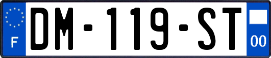 DM-119-ST