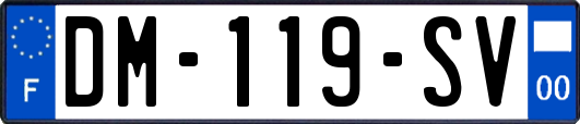 DM-119-SV