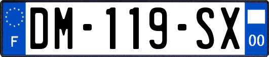 DM-119-SX