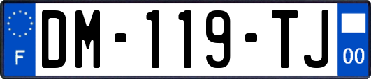 DM-119-TJ