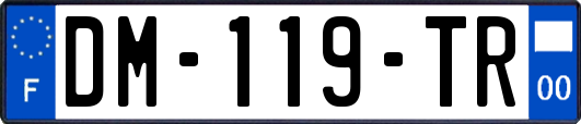 DM-119-TR