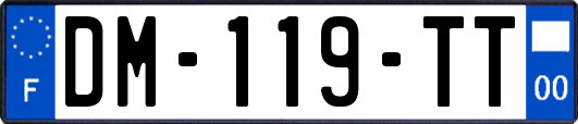 DM-119-TT