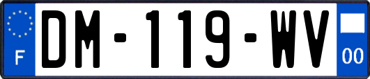 DM-119-WV