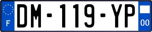 DM-119-YP