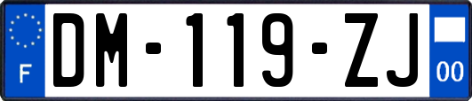 DM-119-ZJ