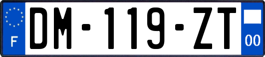 DM-119-ZT