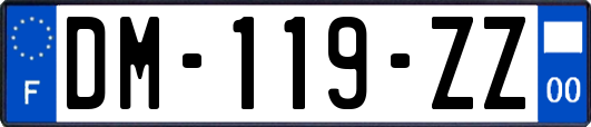 DM-119-ZZ