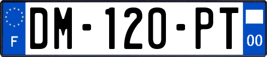 DM-120-PT