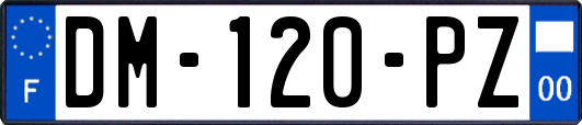 DM-120-PZ