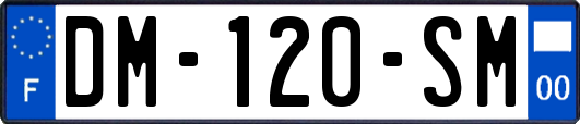 DM-120-SM