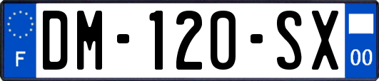 DM-120-SX