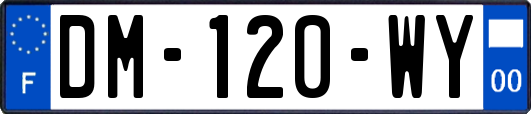 DM-120-WY