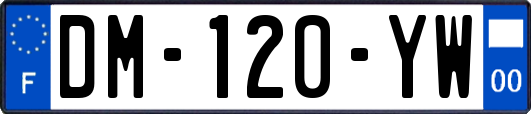 DM-120-YW