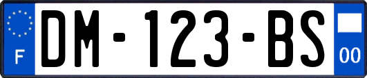 DM-123-BS