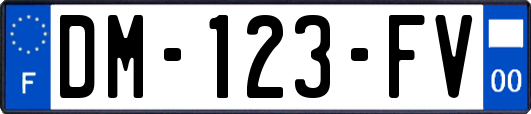 DM-123-FV