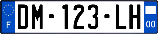 DM-123-LH