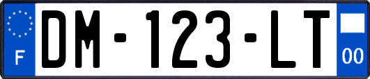 DM-123-LT