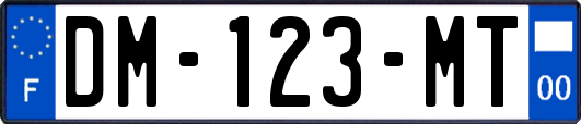 DM-123-MT