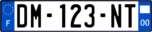 DM-123-NT