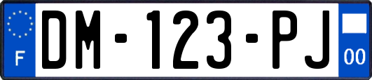 DM-123-PJ