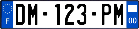 DM-123-PM